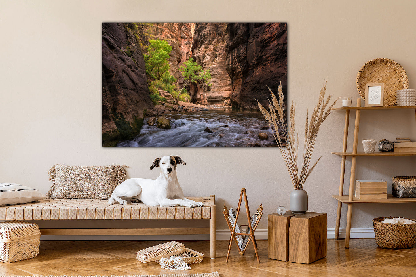 "Into The Narrows" Zion National Park, UT