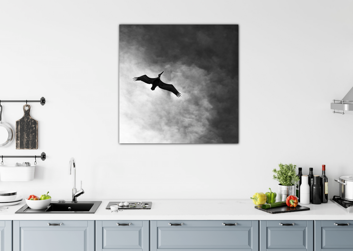 "Pelican Rising" - Carlsbad, CA