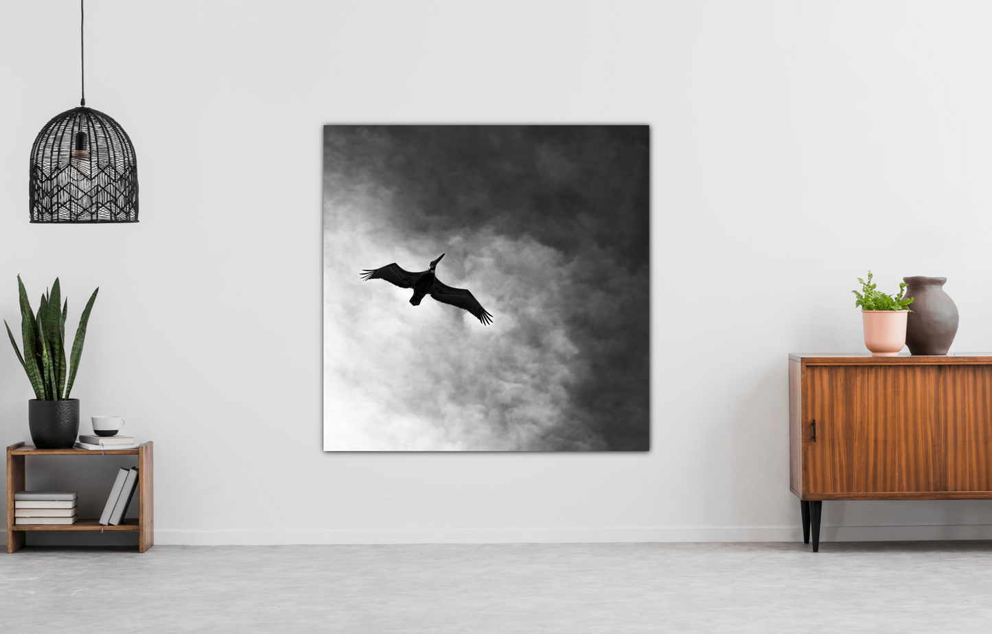"Pelican Rising" - Carlsbad, CA