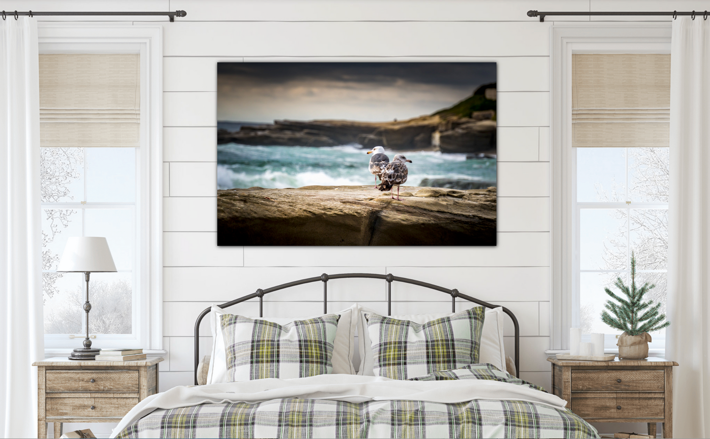 “Decisions” Windansea Beach, La Jolla, CA