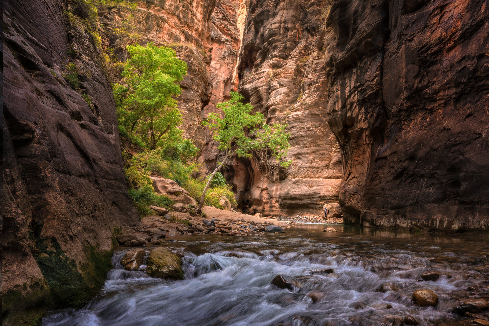 "Into The Narrows"  Zion National Park, UT