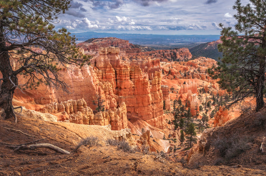 "Looking In" Bryce Canyon National Park, UT