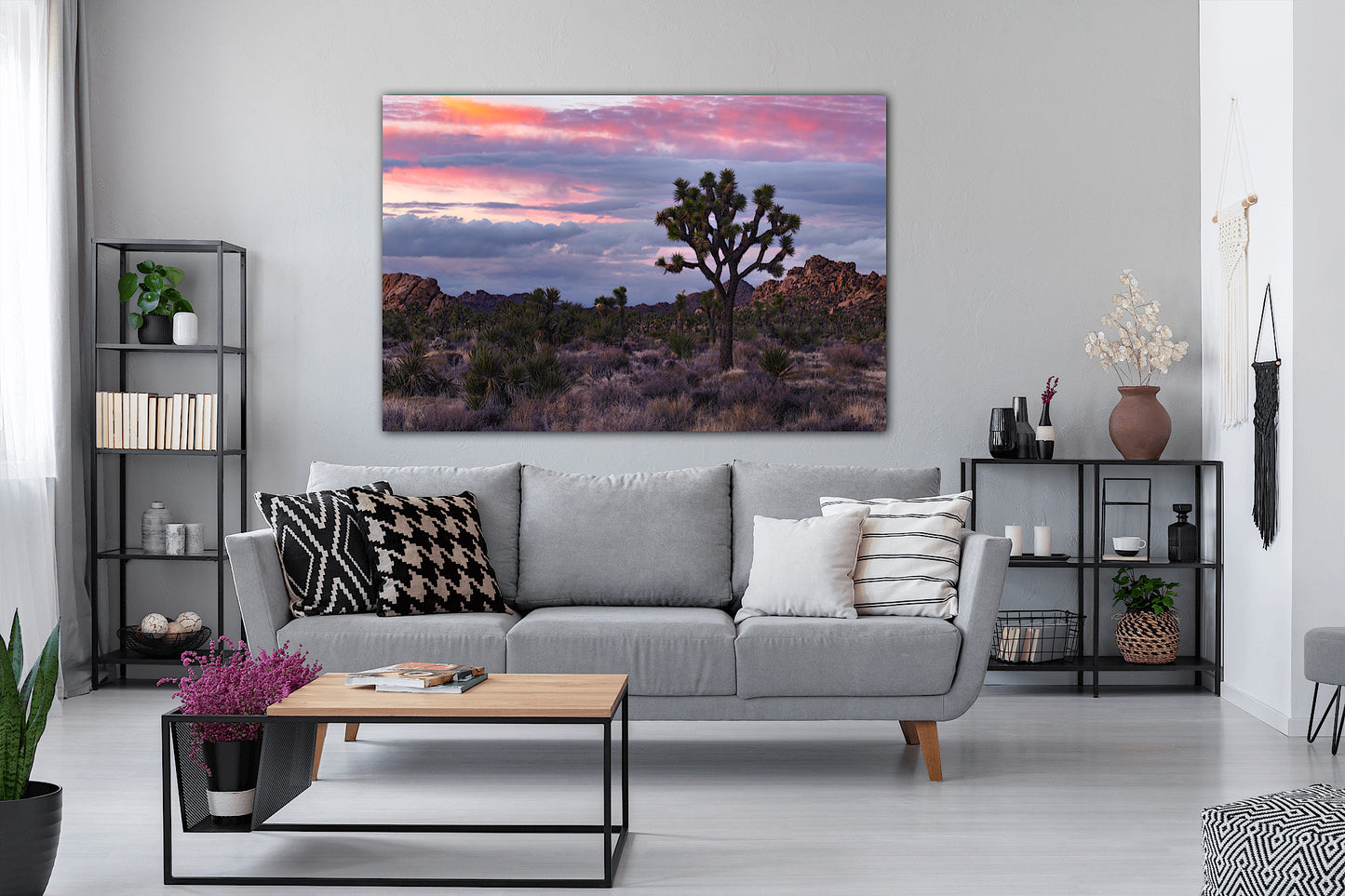 "Desert Sky" Joshua Tree National Park, CA