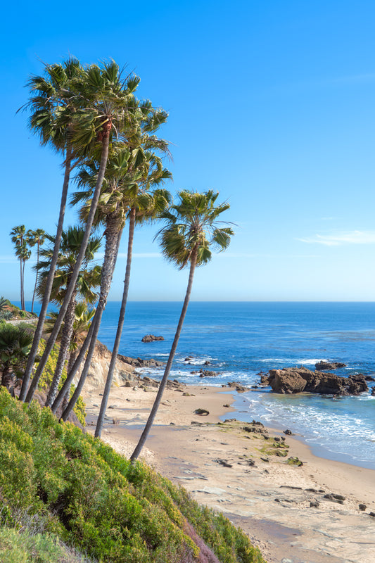 "Haven" - Laguna Beach, CA