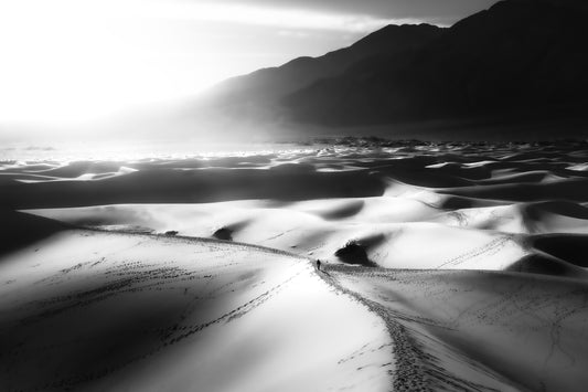 "Morning Walk" - Death Valley, CA