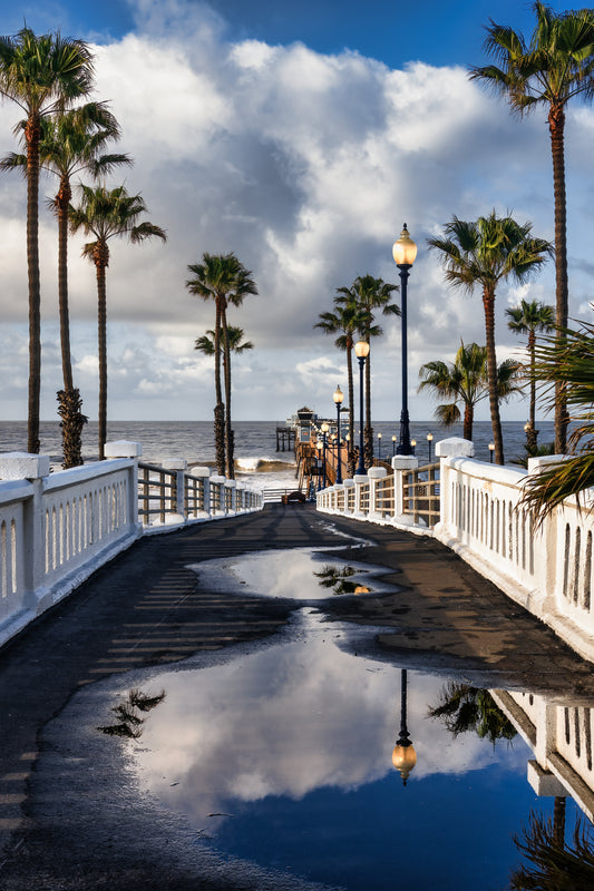 "Puddle Jumper" Oceanside Pier, CA