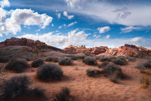 "Red Tide" Valley of Fire, NV