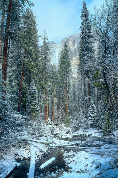 "Snowing River" - Yosemite National Park, CA