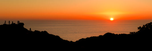 "Gathering" - Torrey Pines in La Jolla, CA