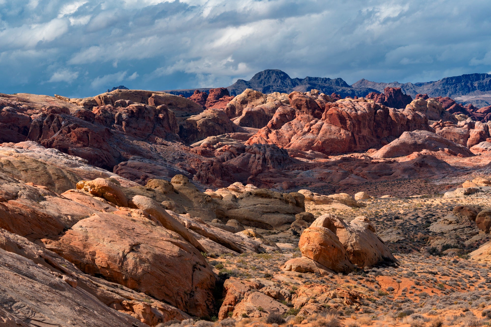 "Unforgettable" Valley of Fire, NV