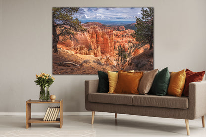 "Looking In" Bryce Canyon National Park, UT