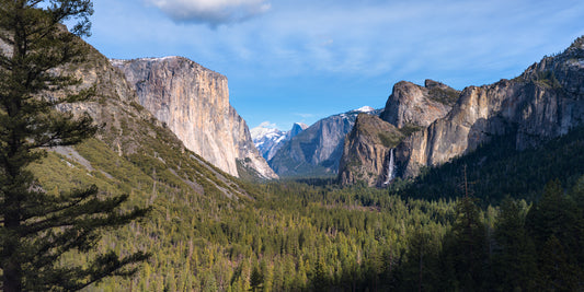 "Overlook" - Yosemite National Park, CA