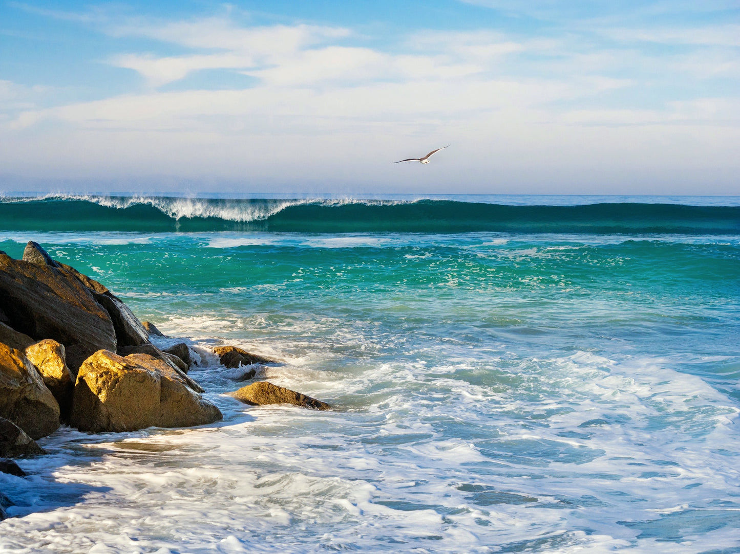 Carlsbad, CA  "Bird's Eye View" - Ponto Beach