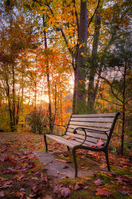 "Fall Restoration" Asheville, NC