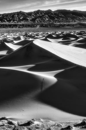 "Radiance" - B & W - Mesquite Flat Sand Dunes, Death Valley, CA