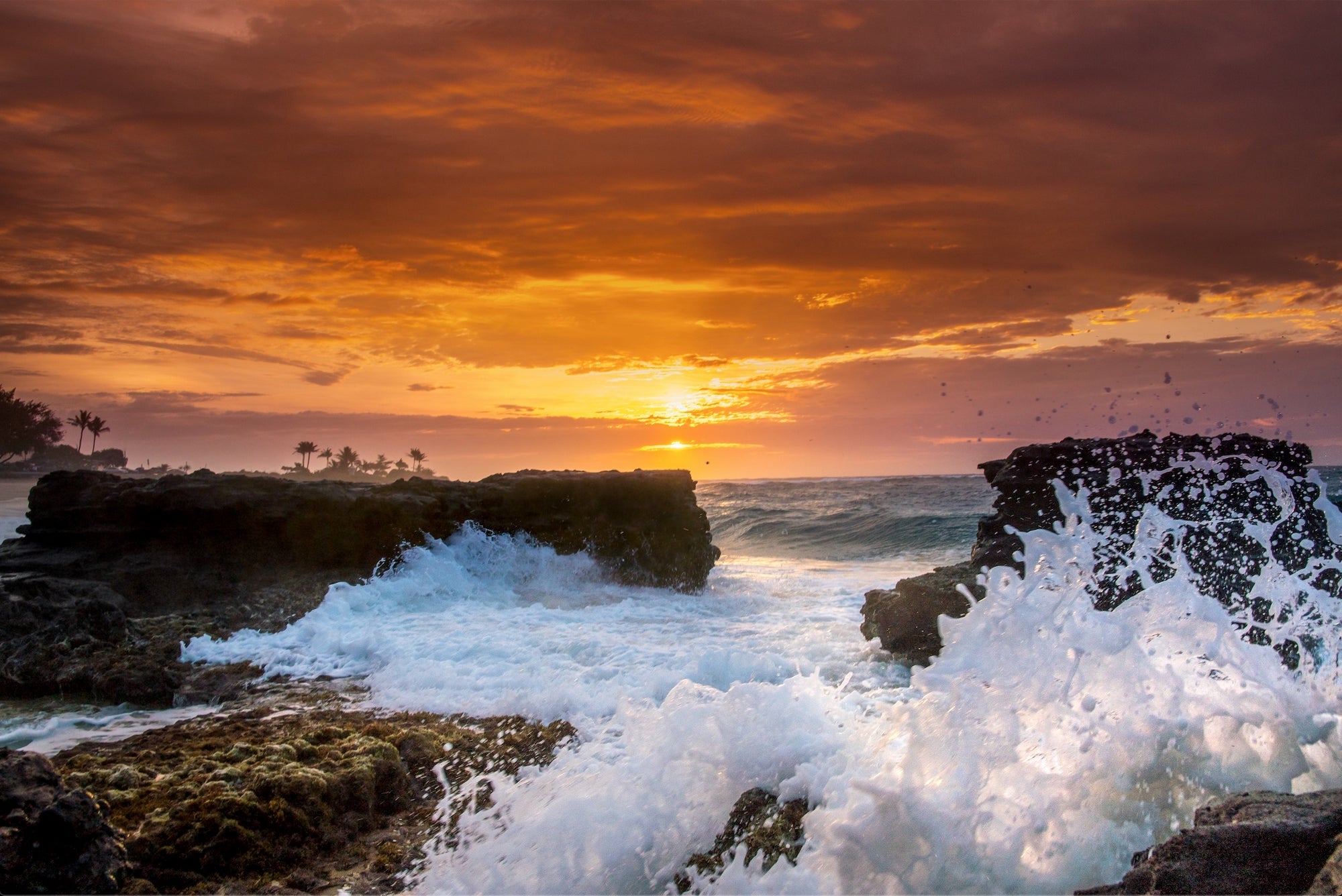 “One Morning” Sandy Beach, Oahu, HI