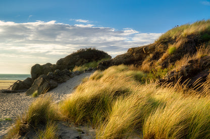 “Shimmer” Bandon, OR