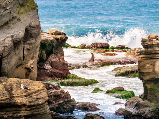 “All Around Me” La Jolla, CA